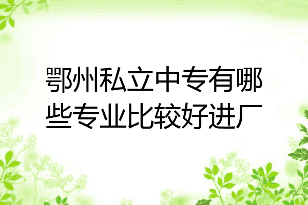 鄂州私立中专有哪些专业比较好进厂