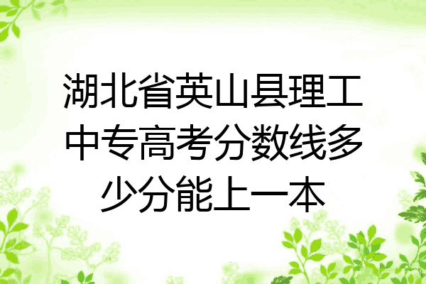 湖北省英山县理工中专高考分数线多少分能上一本