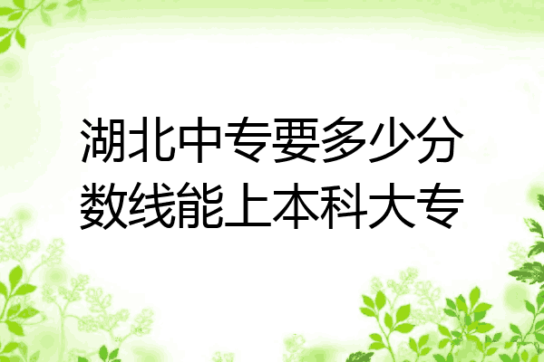 湖北中专要多少分数线能上本科大专