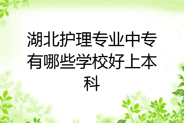 湖北护理专业中专有哪些学校好上本科
