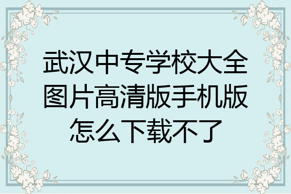 武汉中专学校大全图片高清版手机版怎么下载不了