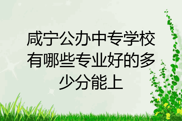 咸宁公办中专学校有哪些专业好的多少分能上