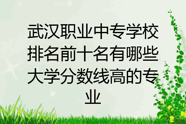 武汉职业中专学校排名前十名有哪些大学分数线高的专业