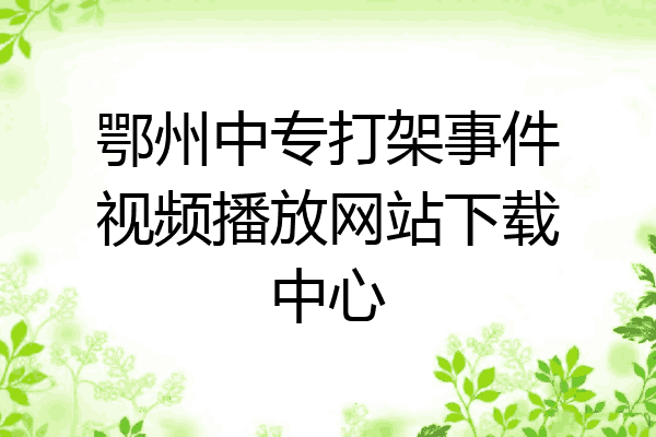 鄂州中专打架事件视频播放网站下载中心
