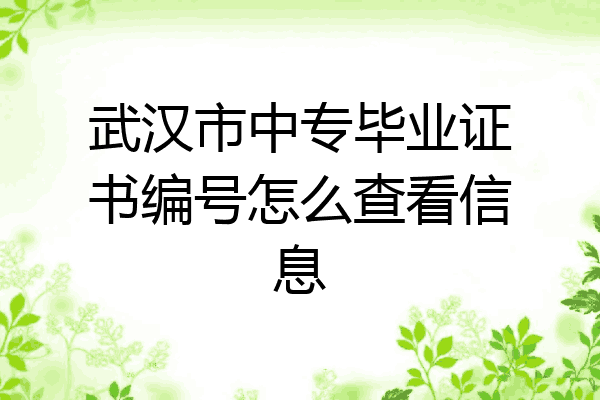 武汉市中专毕业证书编号怎么查看信息