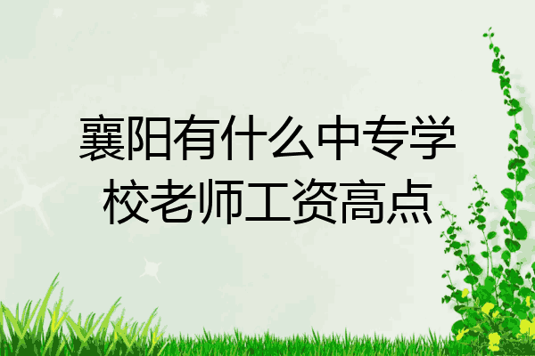 襄阳有什么中专学校老师工资高点