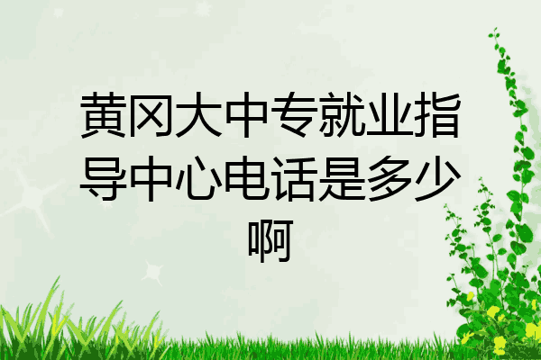 黄冈大中专就业指导中心电话是多少啊