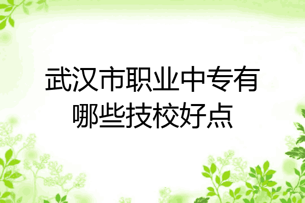 武汉市职业中专有哪些技校好点