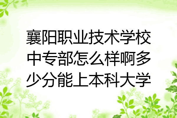 襄阳职业技术学校中专部怎么样啊多少分能上本科大学
