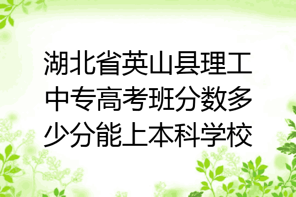 湖北省英山县理工中专高考班分数多少分能上本科学校