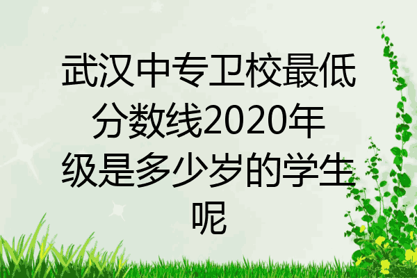 武汉中专卫校最低分数线2020年级是多少岁的学生呢