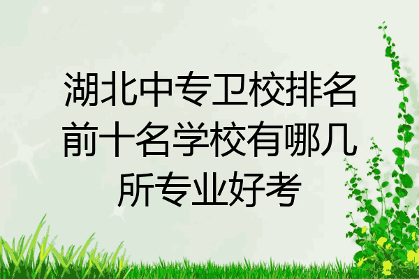 湖北中专卫校排名前十名学校有哪几所专业好考
