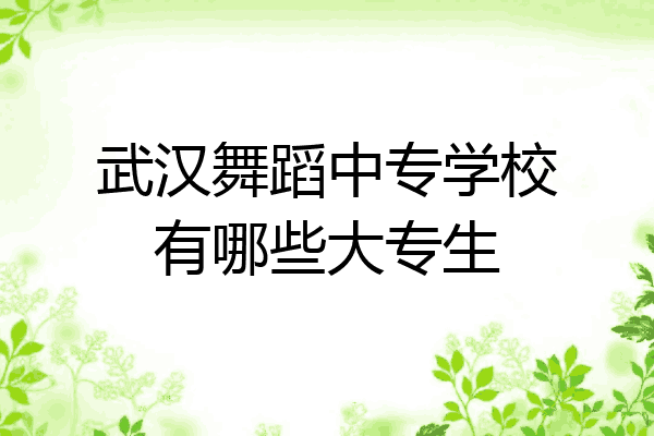 武汉舞蹈中专学校有哪些大专生