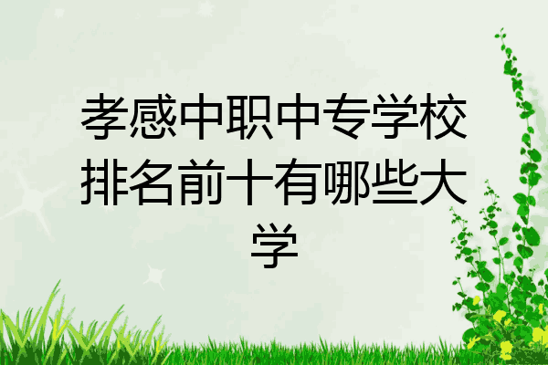孝感中职中专学校排名前十有哪些大学