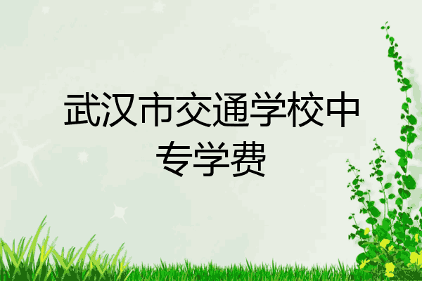 武汉市交通学校中专学费
