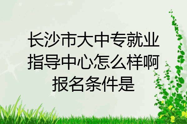长沙市大中专就业指导中心怎么样啊报名条件是