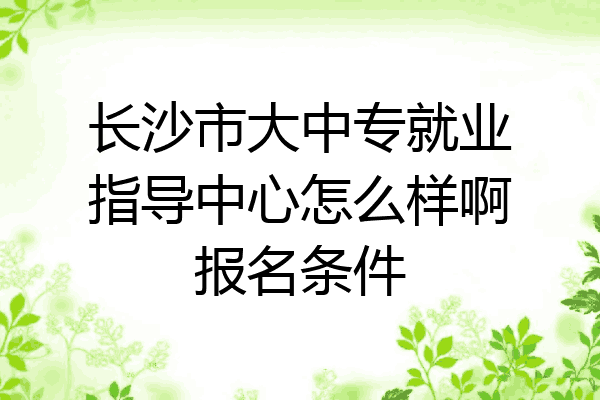 长沙市大中专就业指导中心怎么样啊报名条件
