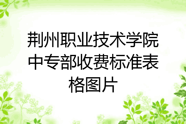 荆州职业技术学院中专部收费标准表格图片