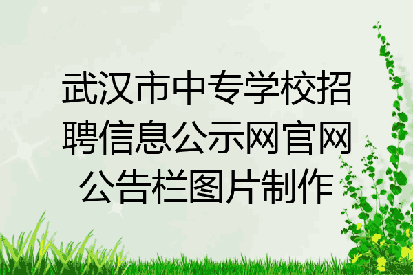 武汉市中专学校招聘信息公示网官网公告栏图片制作