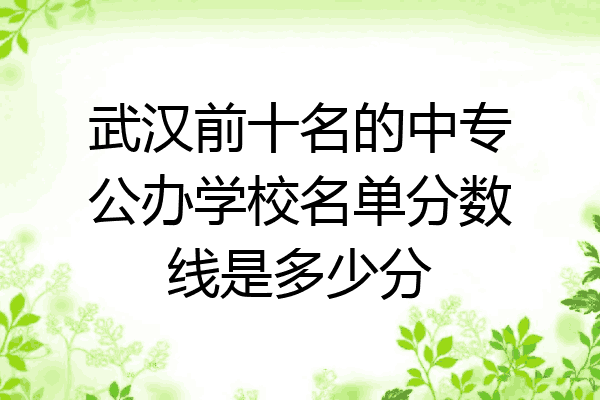 武汉前十名的中专公办学校名单分数线是多少分