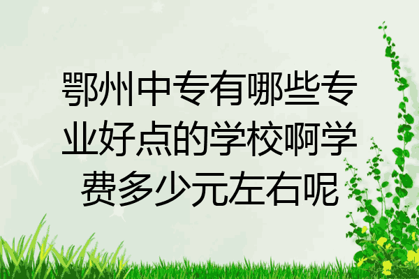 鄂州中专有哪些专业好点的学校啊学费多少元左右呢