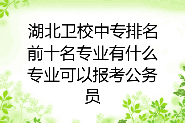 湖北卫校中专排名前十名专业有什么专业可以报考公务员