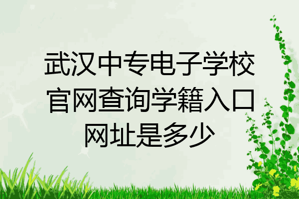 武汉中专电子学校官网查询学籍入口网址是多少