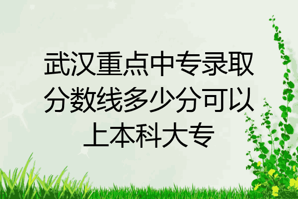 武汉重点中专录取分数线多少分可以上本科大专