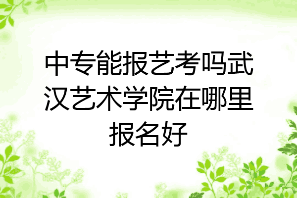 中专能报艺考吗武汉艺术学院在哪里报名好