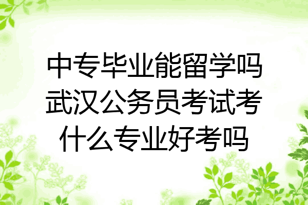 中专毕业能留学吗武汉公务员考试考什么专业好考吗