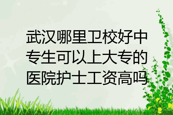 武汉哪里卫校好中专生可以上大专的医院护士工资高吗