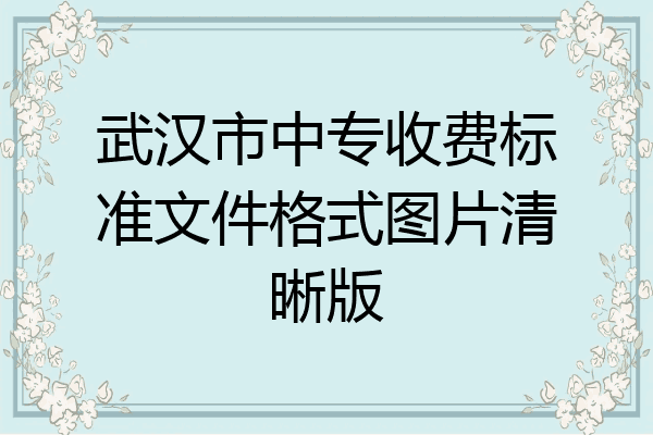 武汉市中专收费标准文件格式图片清晰版