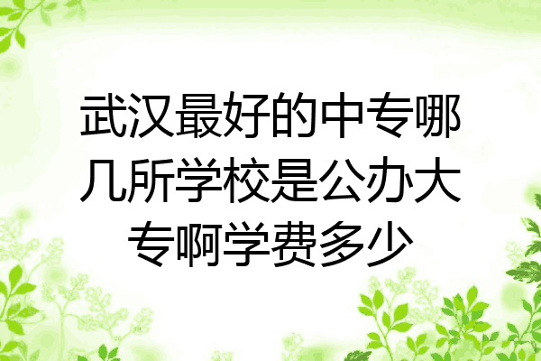 武汉最好的中专哪几所学校是公办大专啊学费多少