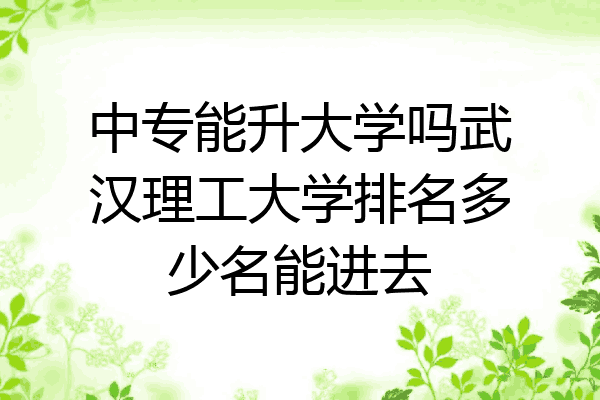 中专能升大学吗武汉理工大学排名多少名能进去