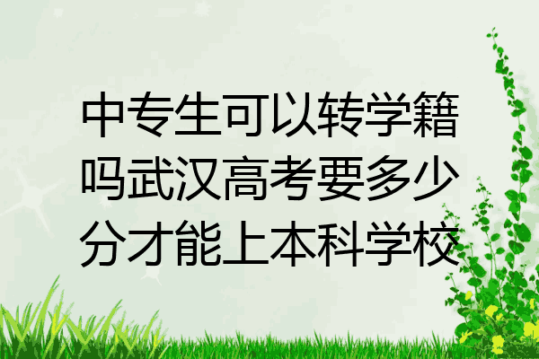 中专生可以转学籍吗武汉高考要多少分才能上本科学校