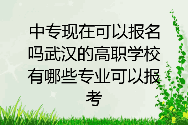 中专现在可以报名吗武汉的高职学校有哪些专业可以报考