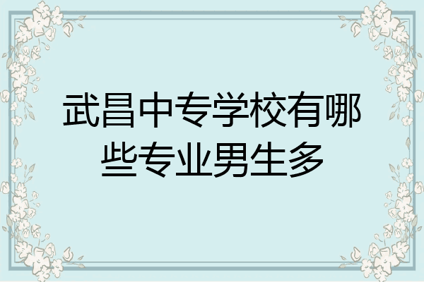 武昌中专学校有哪些专业男生多