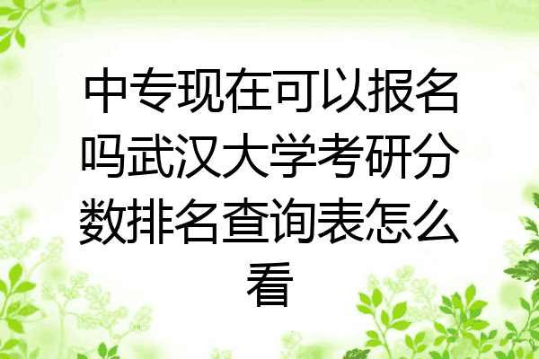中专现在可以报名吗武汉大学考研分数排名查询表怎么看