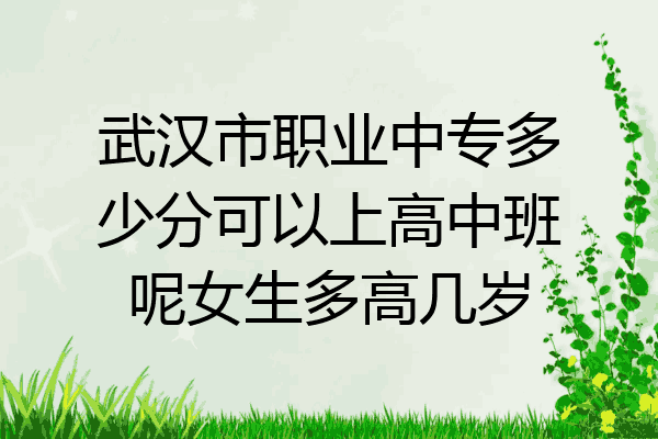 武汉市职业中专多少分可以上高中班呢女生多高几岁