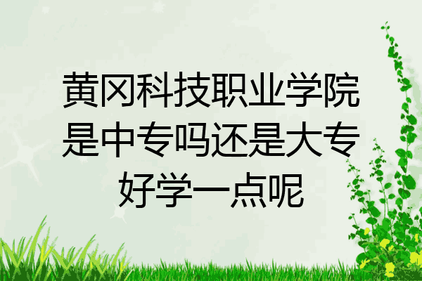 黄冈科技职业学院是中专吗还是大专好学一点呢