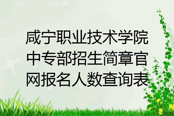 咸宁职业技术学院中专部招生简章官网报名人数查询表