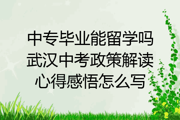 中专毕业能留学吗武汉中考政策解读心得感悟怎么写
