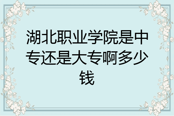 湖北职业学院是中专还是大专啊多少钱