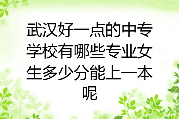 武汉好一点的中专学校有哪些专业女生多少分能上一本呢