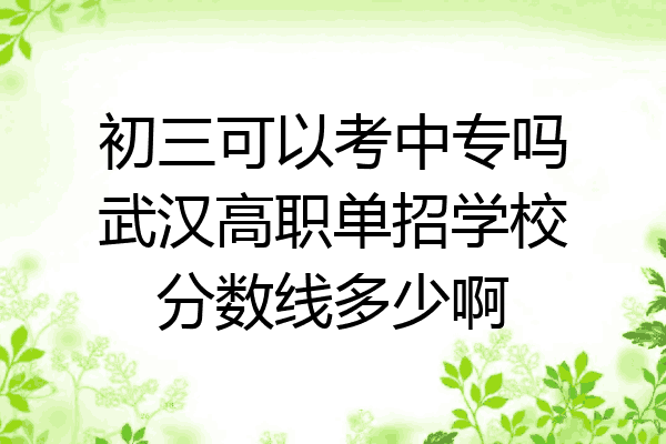 初三可以考中专吗武汉高职单招学校分数线多少啊