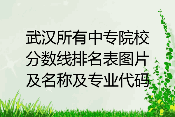 武汉所有中专院校分数线排名表图片及名称及专业代码