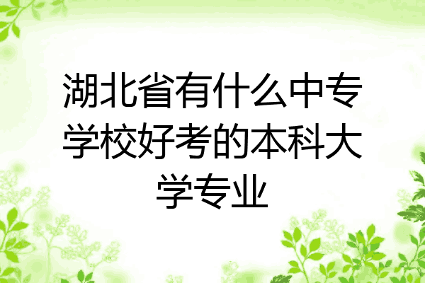 湖北省有什么中专学校好考的本科大学专业