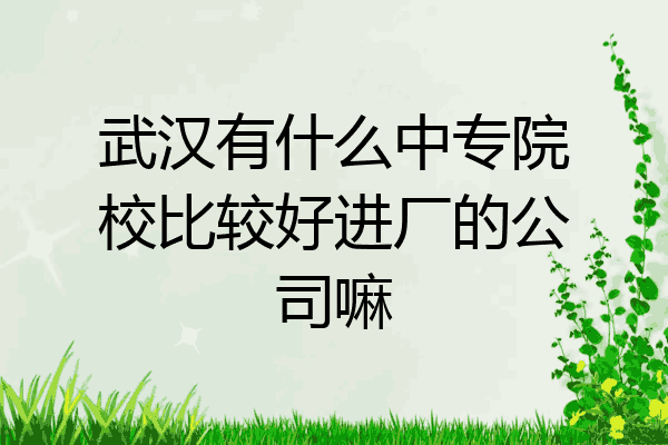 武汉有什么中专院校比较好进厂的公司嘛