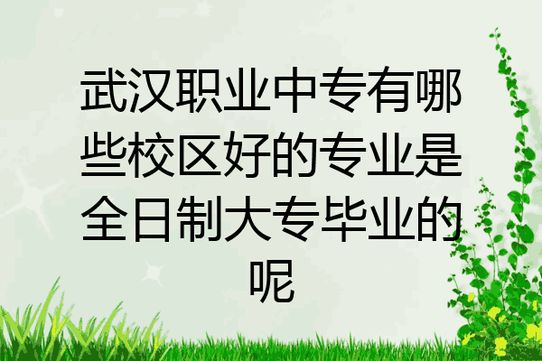 武汉职业中专有哪些校区好的专业是全日制大专毕业的呢