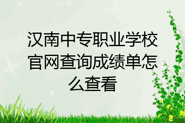 汉南中专职业学校官网查询成绩单怎么查看